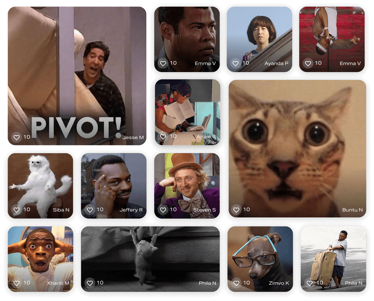 /media/oisg4d5f/yuni-gif-collage