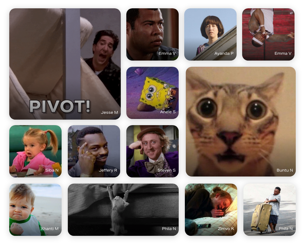 /media/zr2llsid/gif_collage